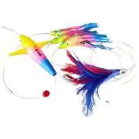 Pajarito + 3 Pulpitos - Terminal Pluma - Multicolor